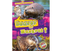 Beaver_or_Muskrat_